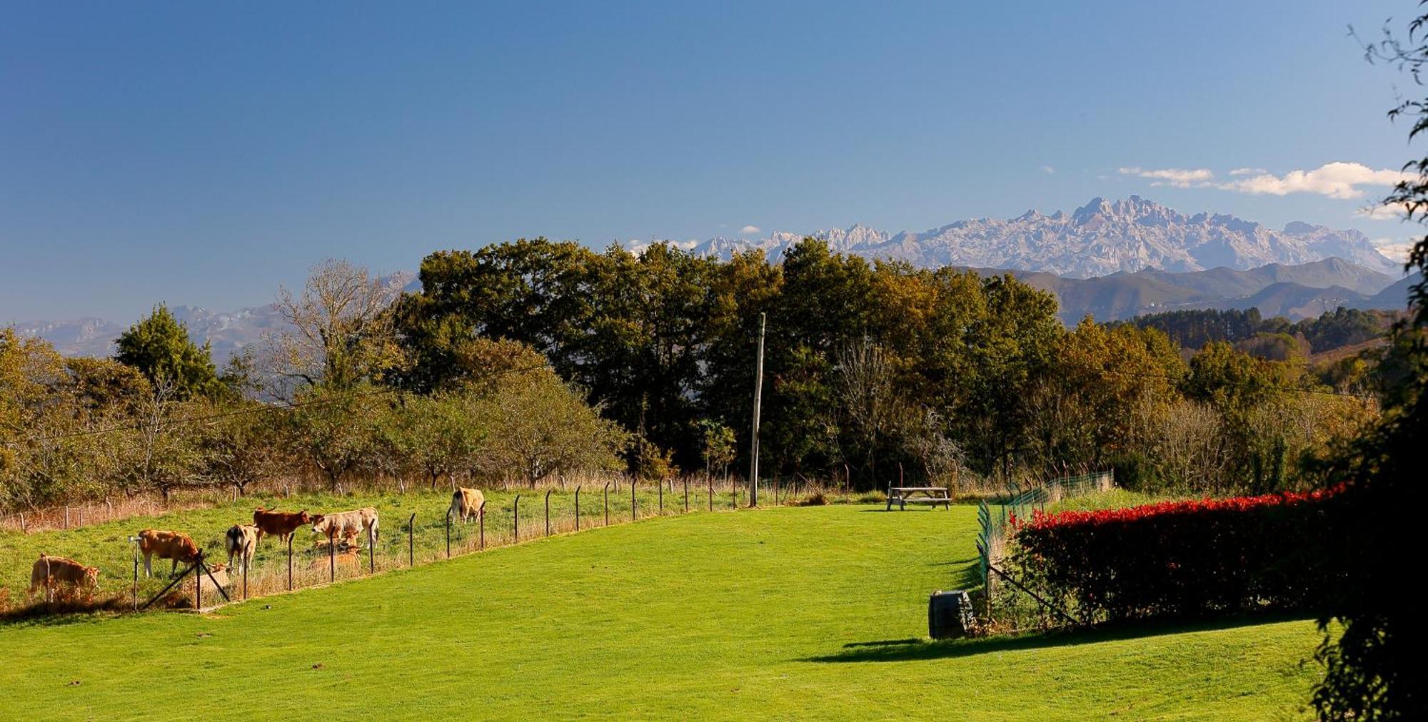 El Gran Sueno Boutique & - Adults Only Casa de camp Pintueles